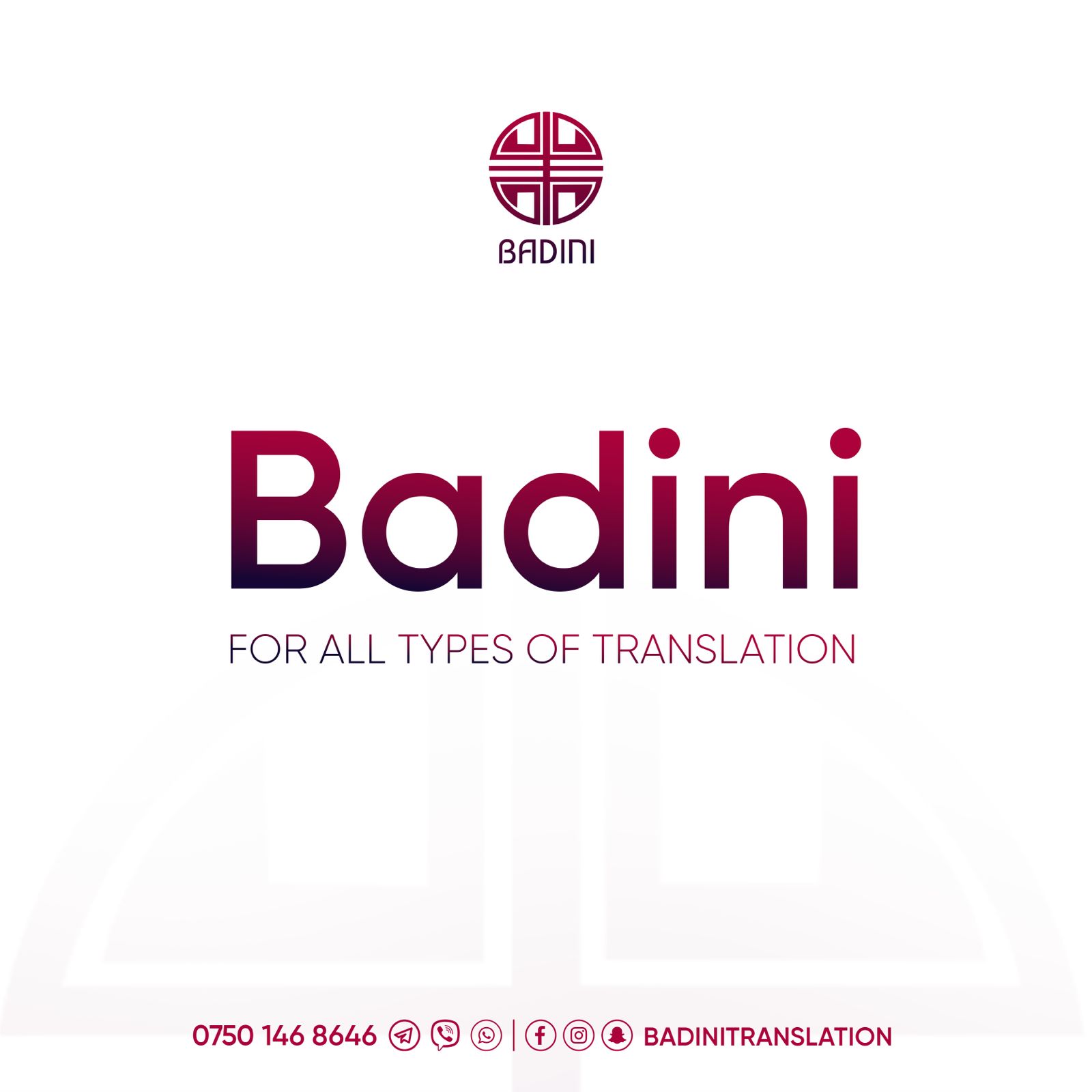 BADINI TRANSLATION